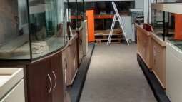 Zu Besuch bei der Firma Aquarienkontor