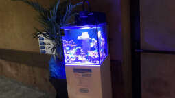 Aqua-Day 2018 der Aquarienfreunde Tirol