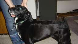 Zu Besuch bei Anitime