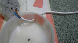 Do it yourself: Mondlicht