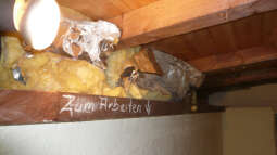 Bau einer Zuchtanlage: Ein Fazit nach 5 Jahren Betrieb