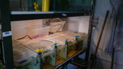 Bau einer Zuchtanlage: Ein Fazit nach 5 Jahren Betrieb