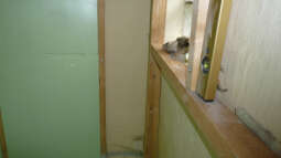 Bau einer Zuchtanlage: Ein Fazit nach 5 Jahren Betrieb