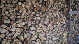 was macht da bazzi ?