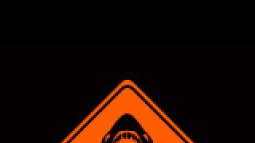 "Wenn die Haie sterben - stirbt das Meer!"