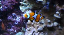 ...und hier mein Bild zum Sonntag