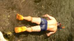 Tropischer Urwaldbach mitten in ??sterreich