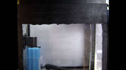 Bau eines Refugiums für Meerwasser-Aquarien