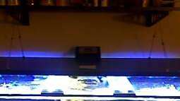 Bau einer High Power LED Leuchte mit Lichtcomputer für Meerwasser-Aquarien