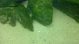 Alles toll und dann kam das !!!