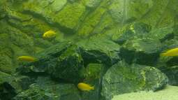 Alles toll und dann kam das !!!