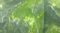 Alles toll und dann kam das !!!