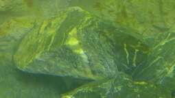 Alles toll und dann kam das !!!