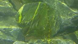 Alles toll und dann kam das !!!