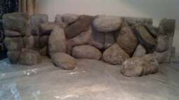 Neues Projekt: Sandcichliden-Becken