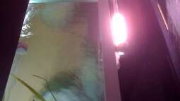 Neues Projekt: Sandcichliden-Becken