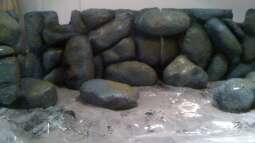 Neues Projekt: Sandcichliden-Becken