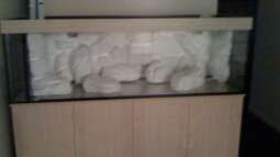 Neues Projekt: Sandcichliden-Becken