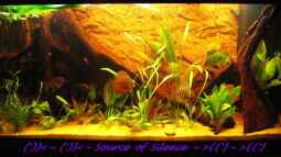 ``Aus der Oase des Glücks wird der Quell der Stille``