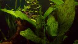 25.09.2009 - erste Fotos