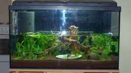 30.08.2009 - Es tut sich was...