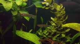 25.09.2009 - erste Fotos