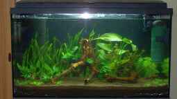 30.08.2009 - Es tut sich was...