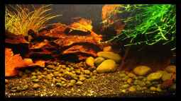 Wer,Wie,Was,Fragen und auch Antworten,kommt in die Gruppe !!!