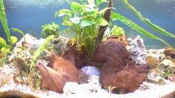 aller Anfang ist schwer