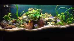 aller Anfang ist schwer