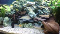 aller Anfang ist schwer