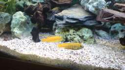 aller Anfang ist schwer