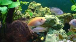 aller Anfang ist schwer