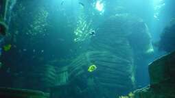 zu Besuch im Sea Life - München