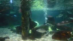 zu Besuch im Sea Life - München