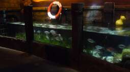 zu Besuch im Sea Life - München