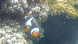 zu Besuch im Sea Life - München