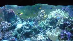 zu Besuch im Sea Life - München