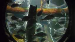 zu Besuch im Sea Life - München