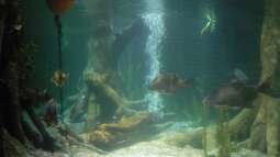 zu Besuch im Sea Life - München