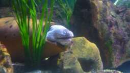 zu Besuch im Sea Life - München