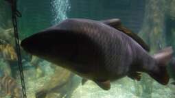 zu Besuch im Sea Life - München