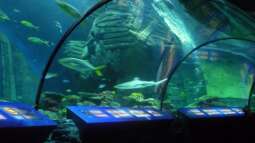 zu Besuch im Sea Life - München