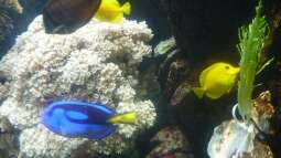 zu Besuch im Sea Life - München