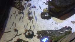 zu Besuch im Sea Life - München