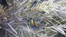 zu Besuch im Sea Life - München