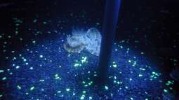 zu Besuch im Sea Life - München