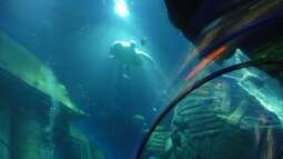 zu Besuch im Sea Life - München