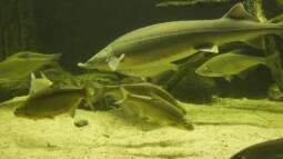 Besuch des Müritzeum in Waren Müritz