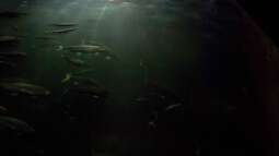 Besuch des Müritzeum in Waren Müritz